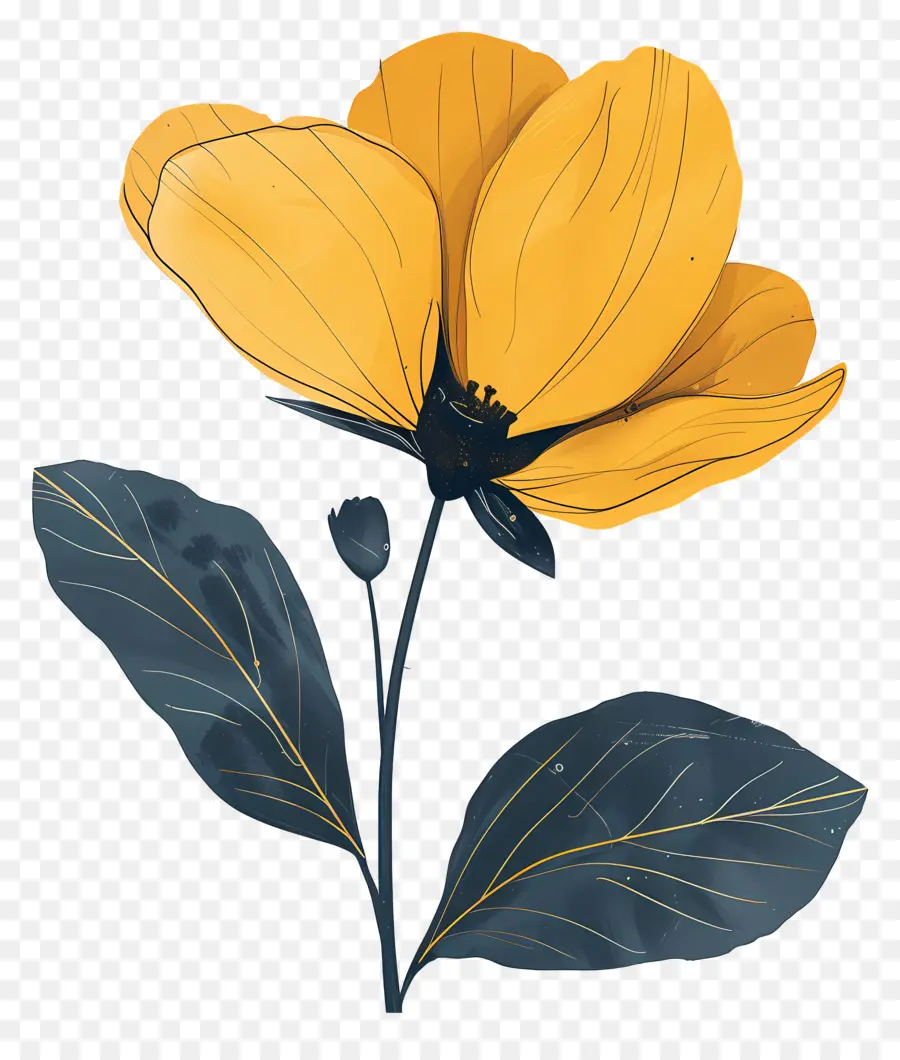 цветок，желтый PNG