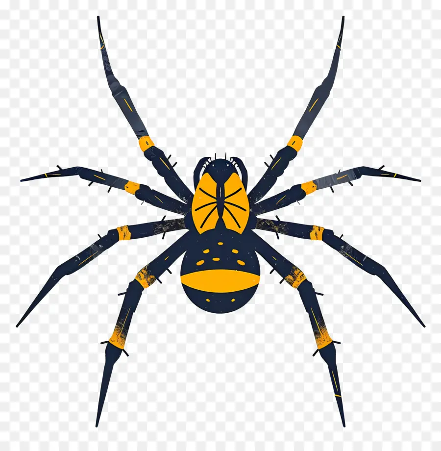 паук，желтый паук PNG