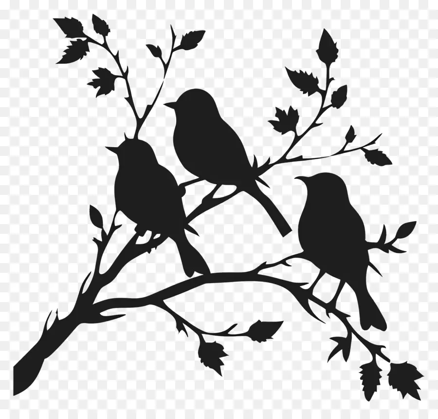 Птицы сидят на ветке，Birds PNG