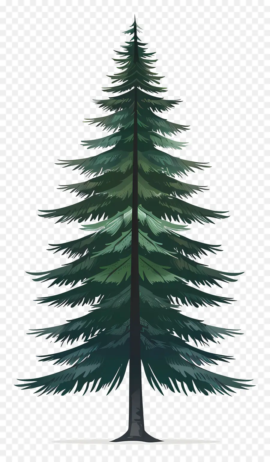 силуэт сосны дерево ，Pine Tree PNG