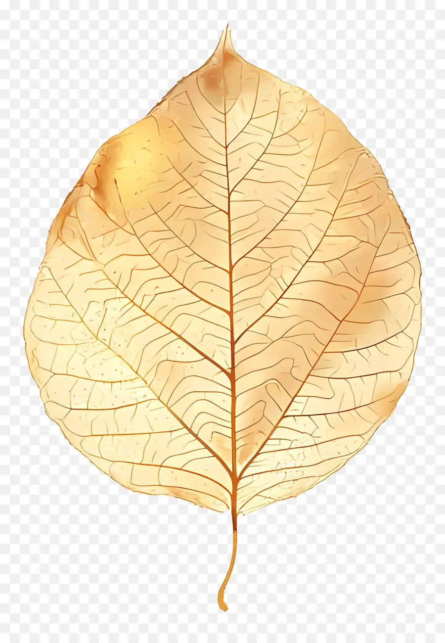 Золотой лист，коричневые пятна PNG
