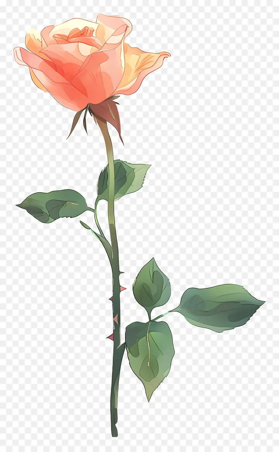 одиночная роза，Pink Rose PNG