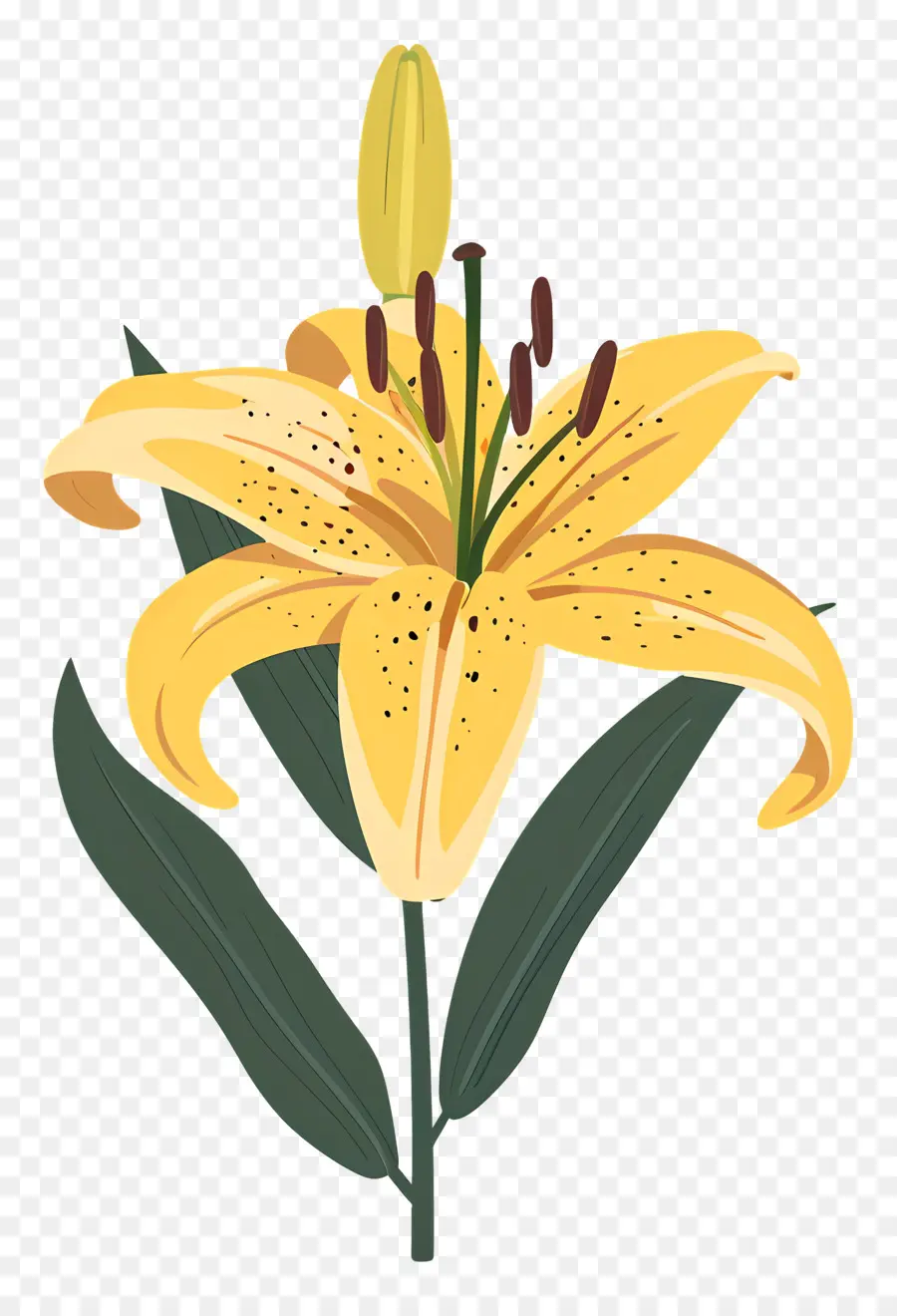 цветок лилии，желтые лепестки PNG