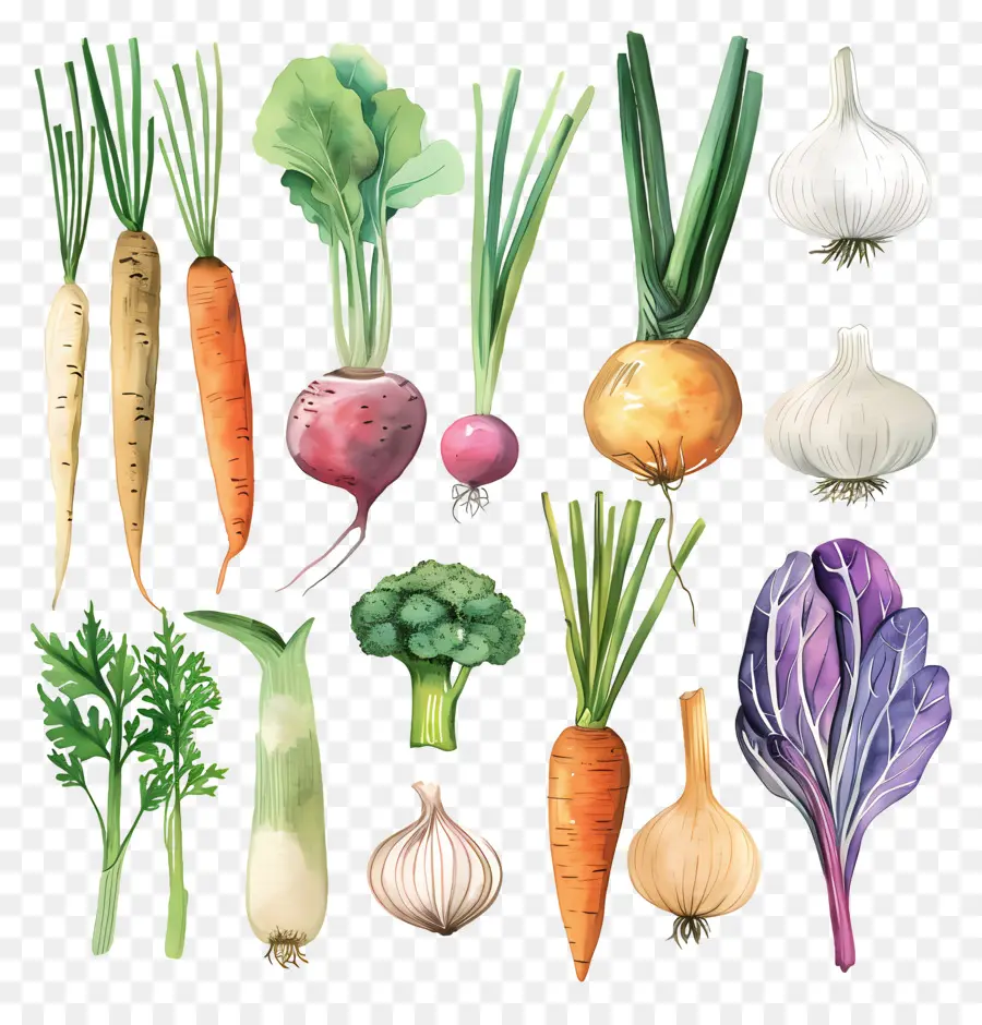 овощи，акварельные иллюстрации PNG