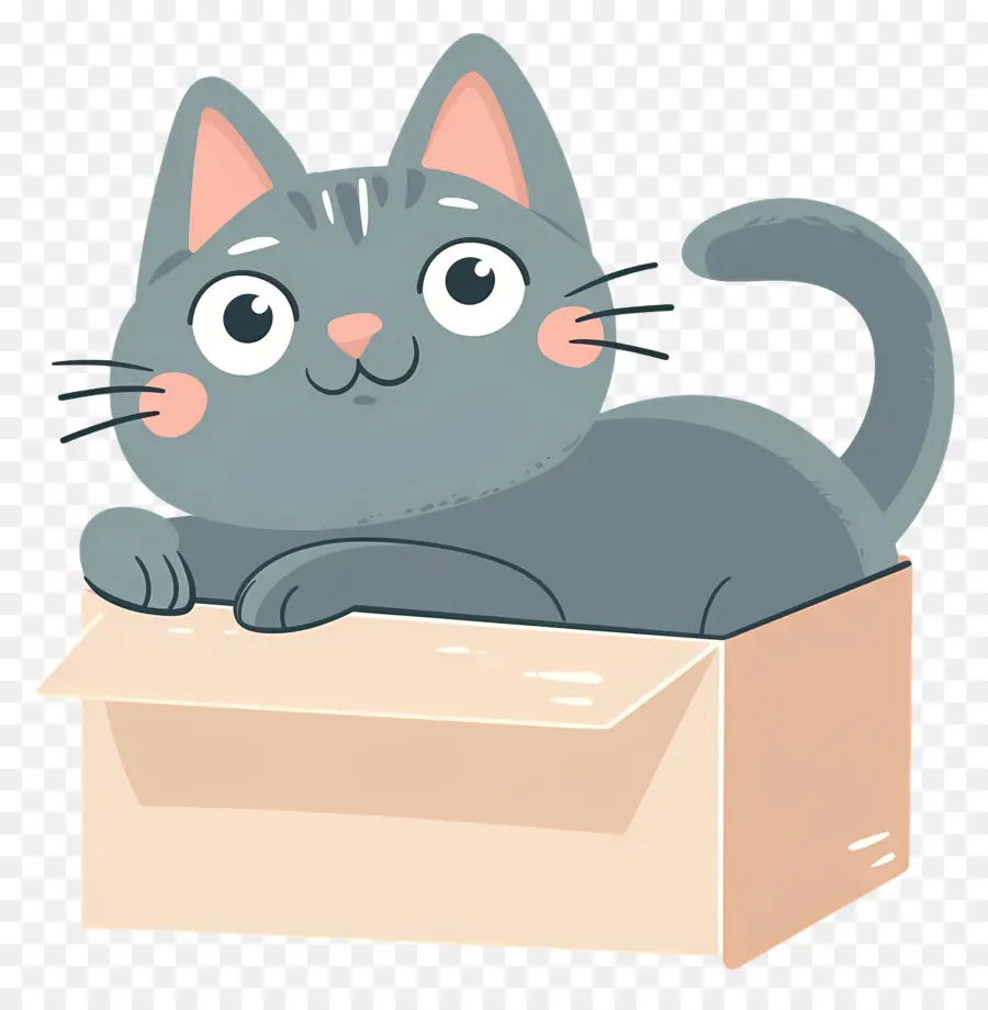 Кошка в коробке，серый кот PNG