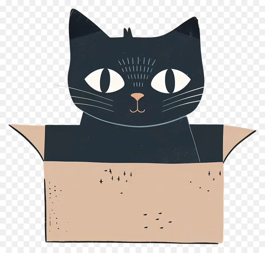 Кошка в коробке，Черный кот PNG