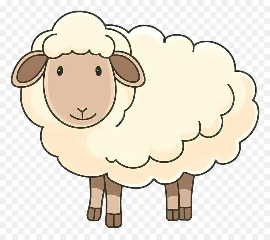 овцы，шерсть PNG