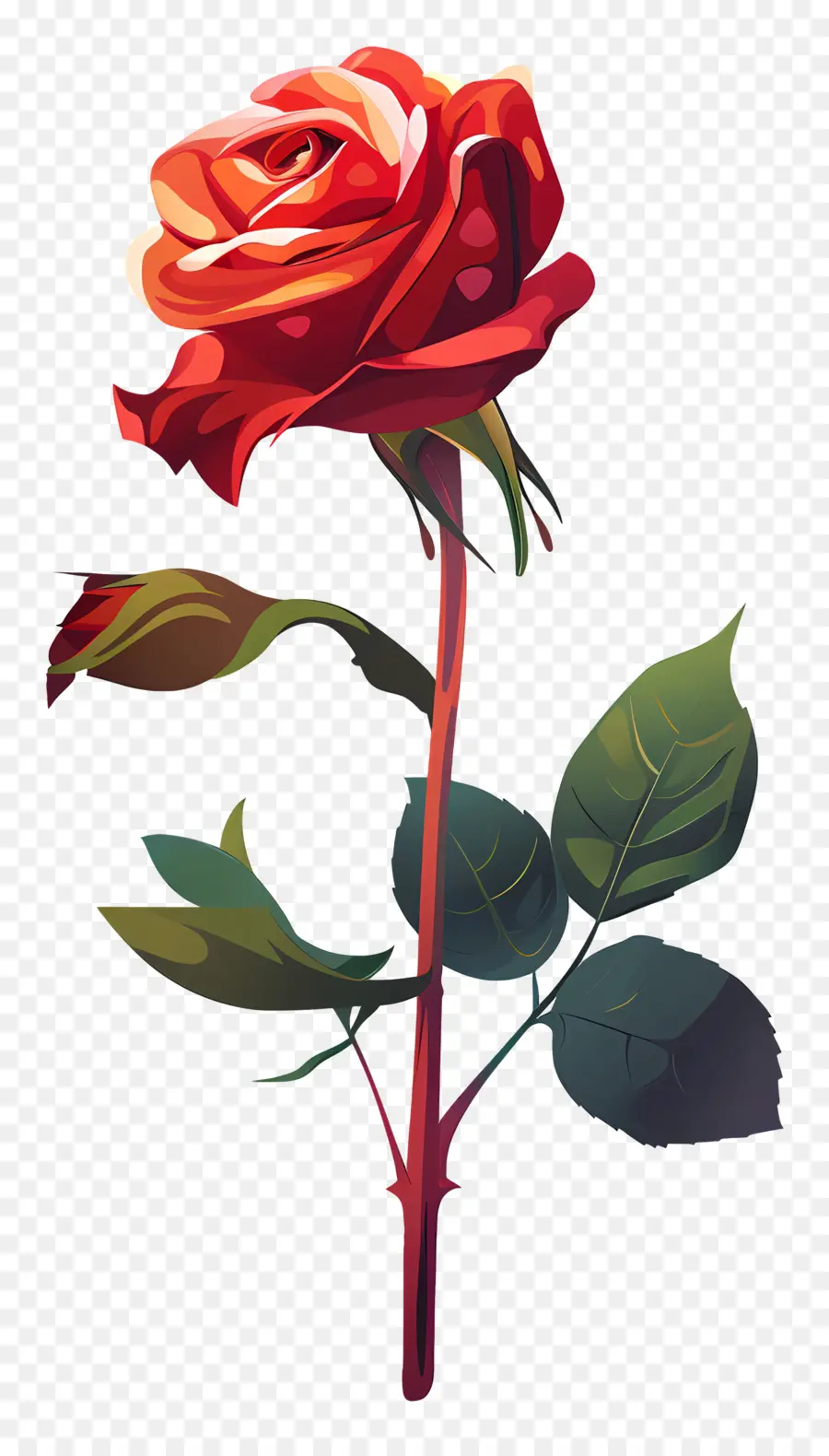 одиночная роза，Роза PNG