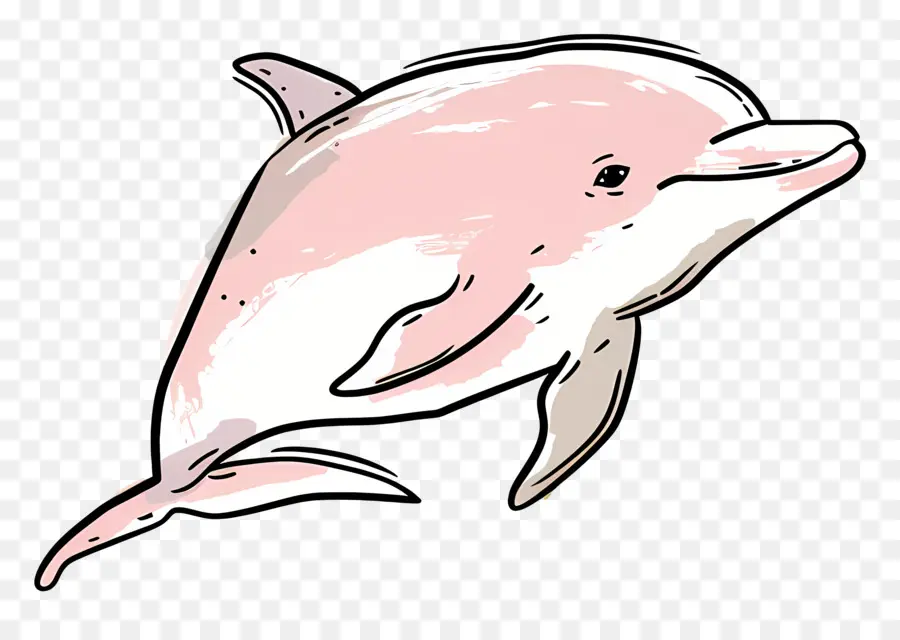 Милый дельфин，розовый дельфин PNG