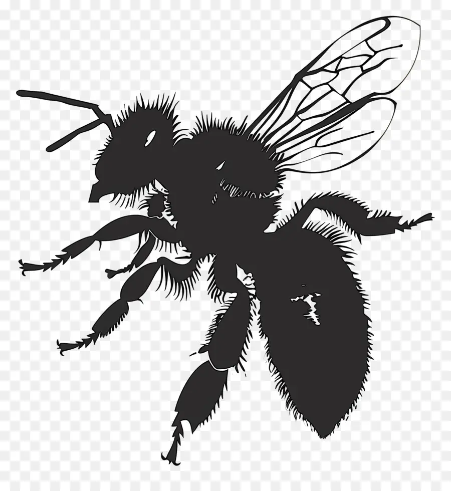 пчела силуэт，Мед пчелы PNG