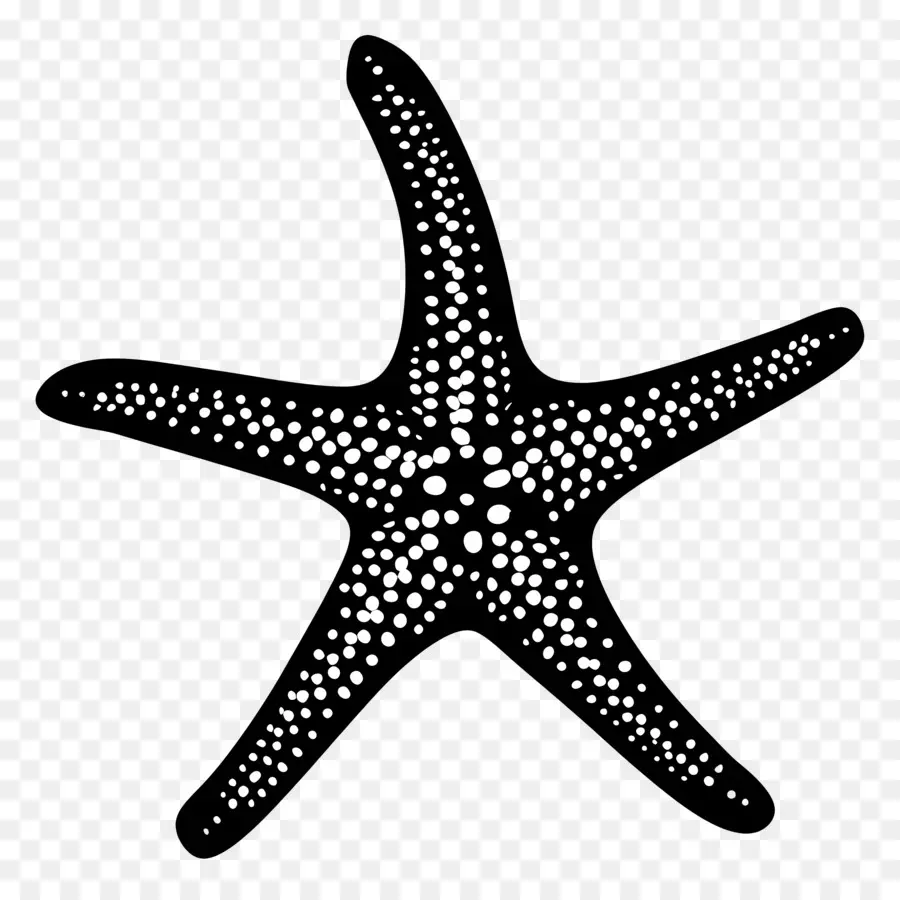 Силуэт звезда，Морская звезда PNG