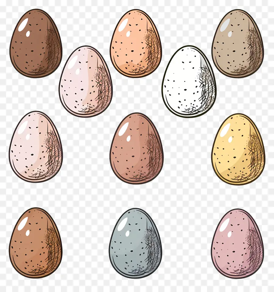 Eggs，куриные яйца PNG