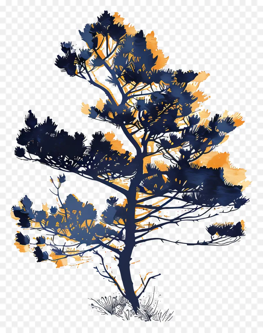 силуэт сосны дерево ，Pine Tree PNG