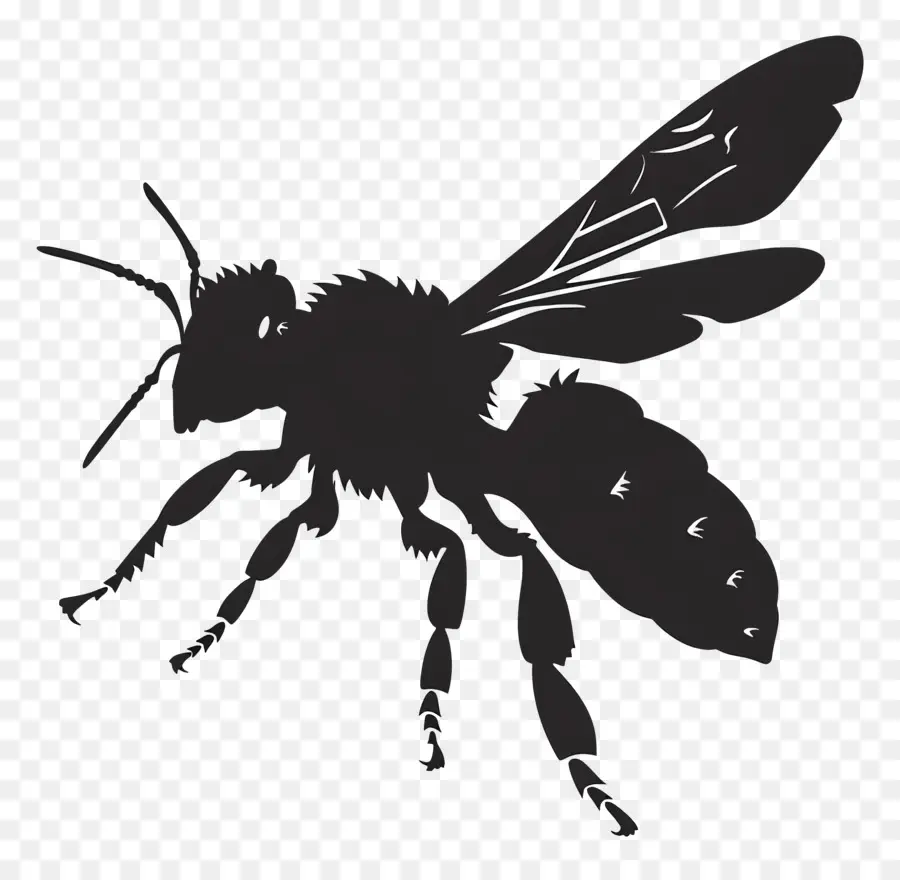 пчела силуэт，Пчелка PNG