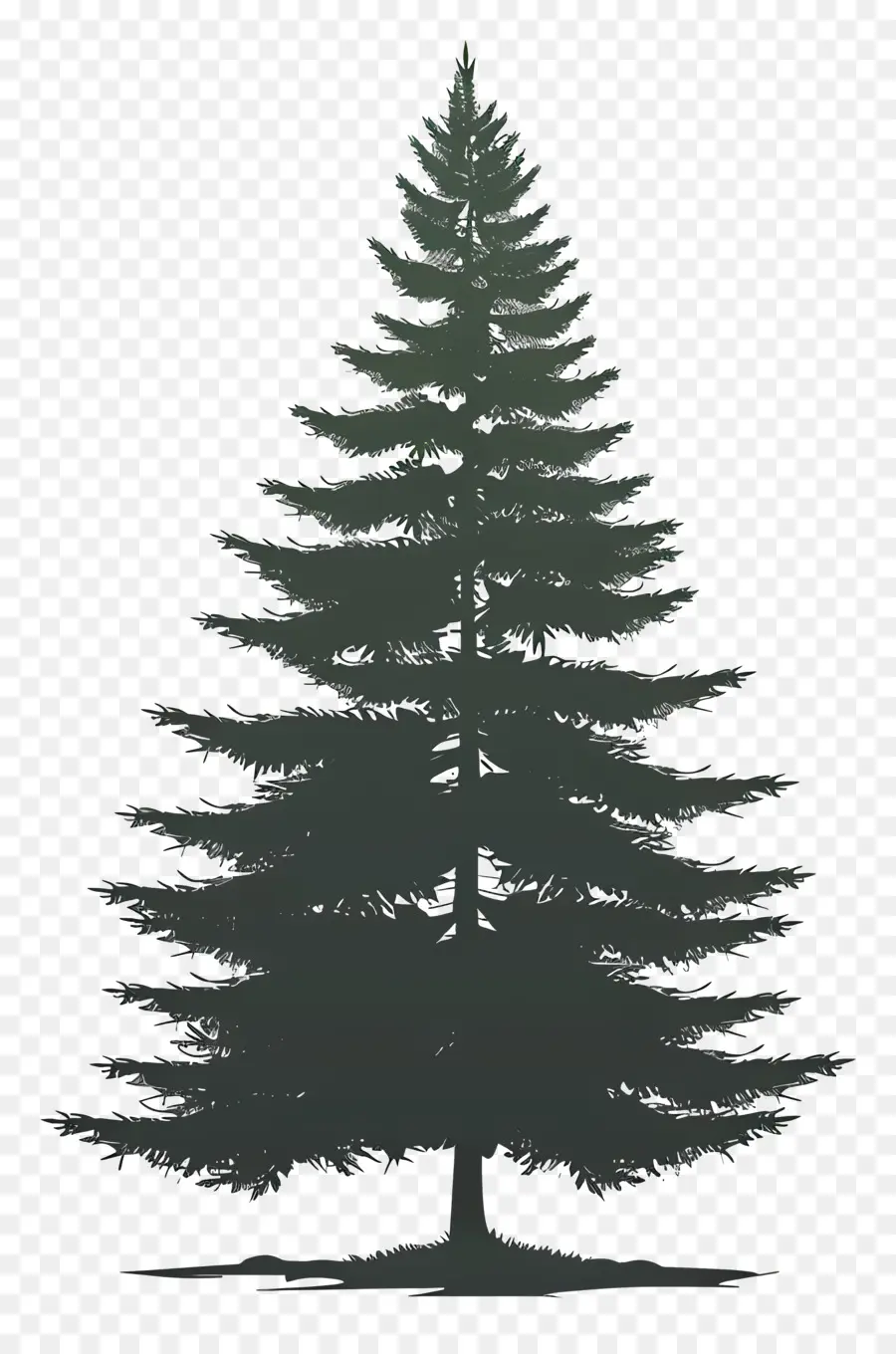 силуэт сосны дерево ，Pine Tree PNG