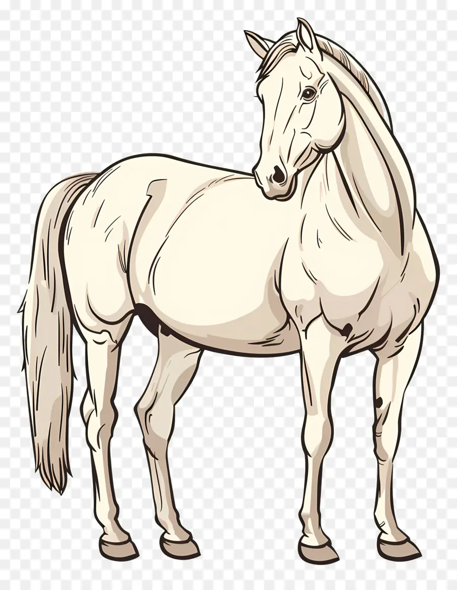 лошадь，Белая лошадь PNG