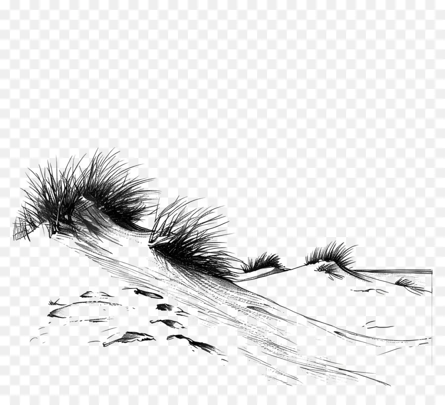 песчаные дюны，Мех PNG
