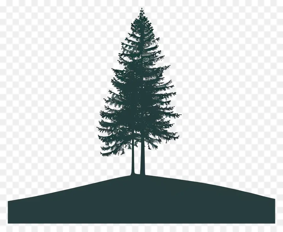 силуэт сосны дерево ，Pine Tree PNG