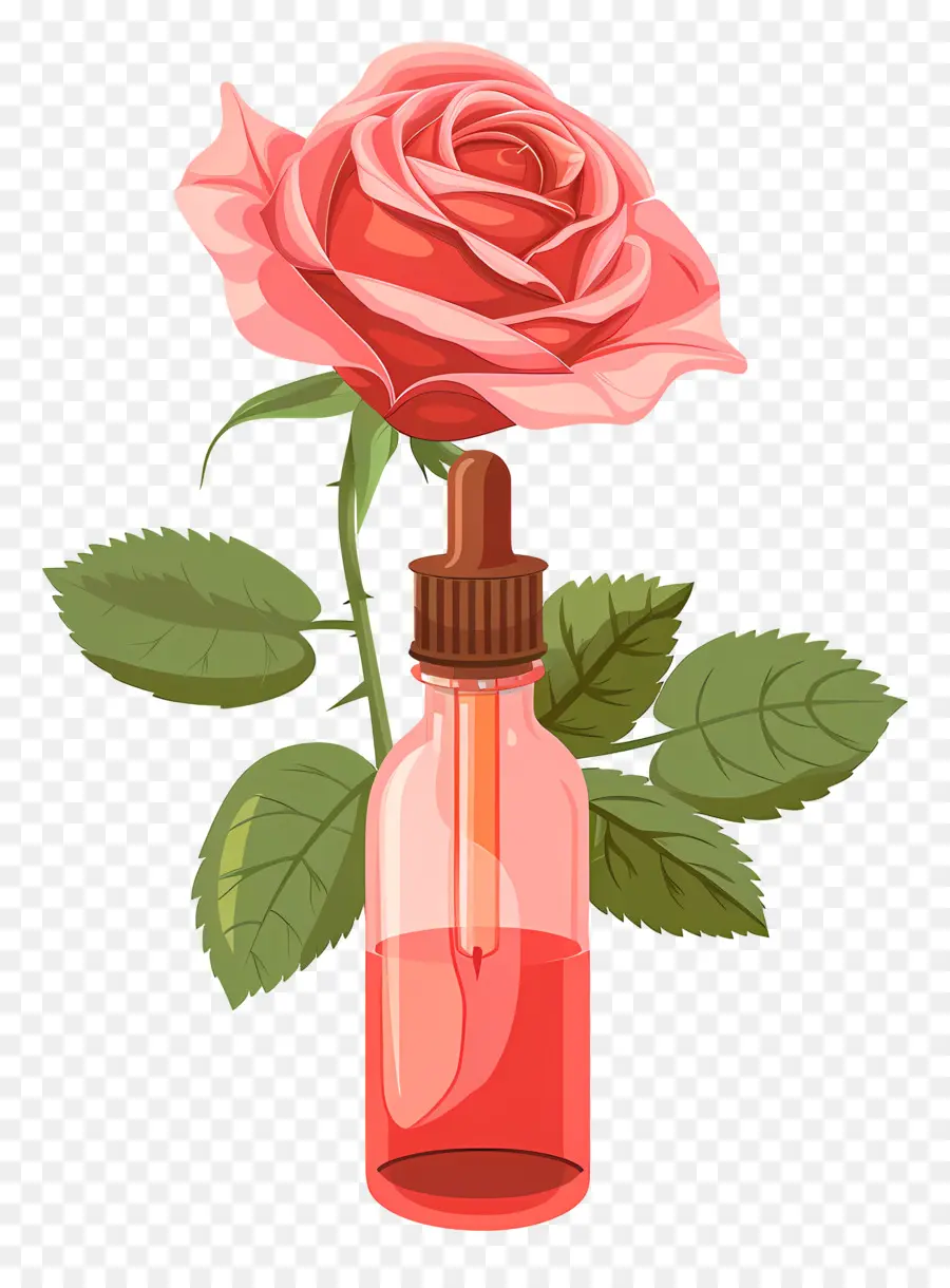 Розовое масло，Pink Rose PNG