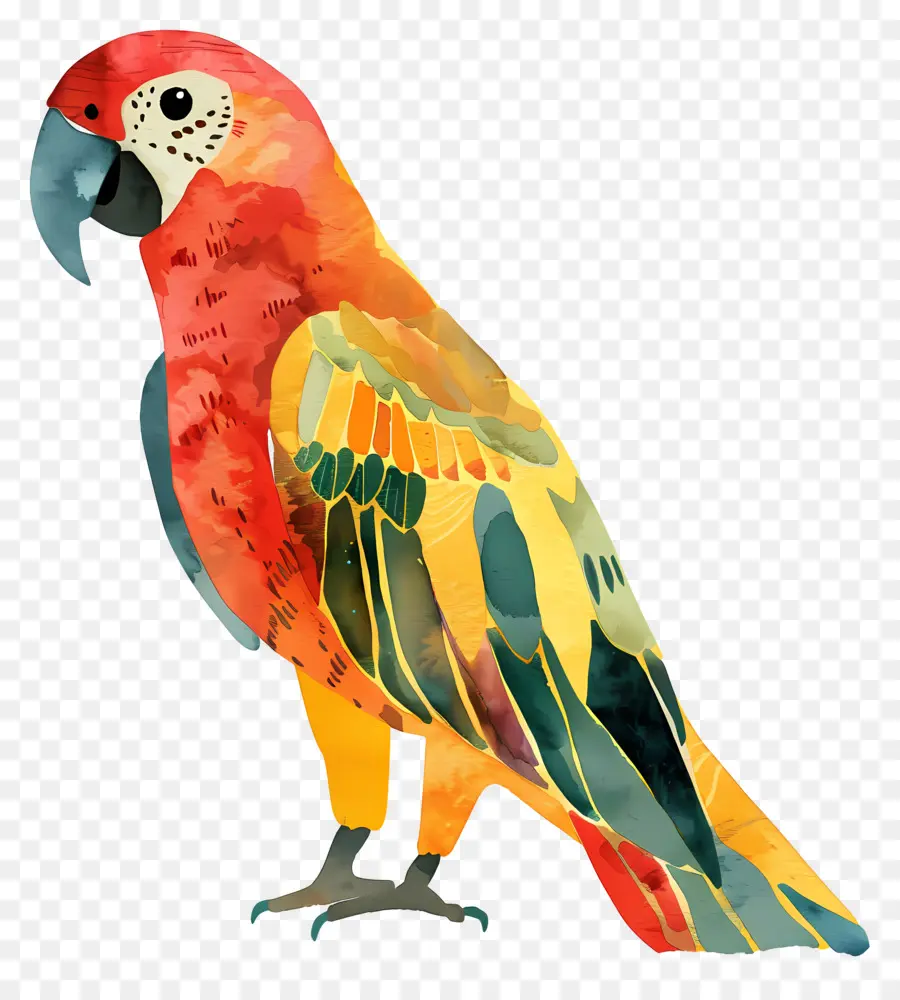 Попугай，красочные PNG