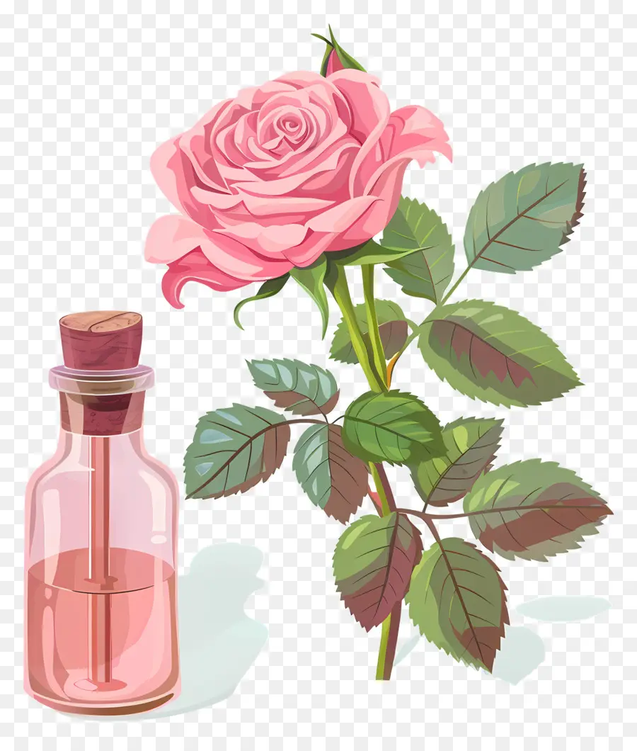 Розовое масло，Pink Rose PNG
