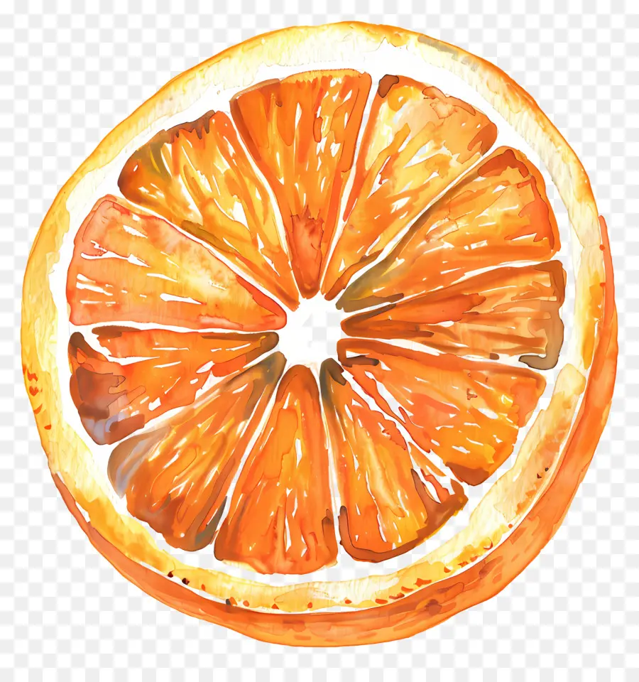 долька апельсина，живопись PNG