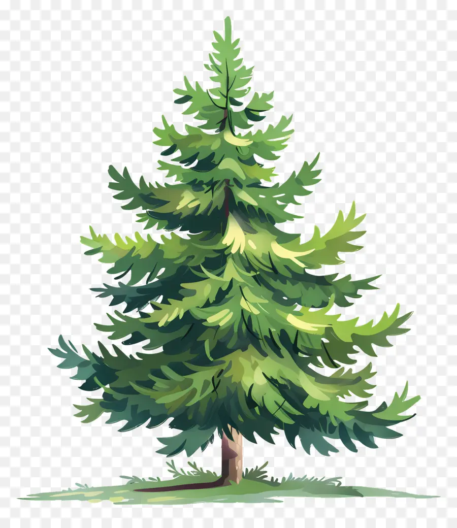 Pine Tree，елка PNG