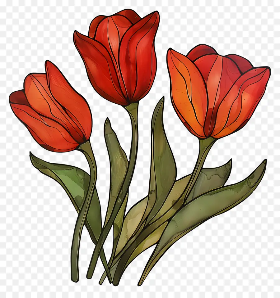 тюльпаны，Красные тюльпаны PNG