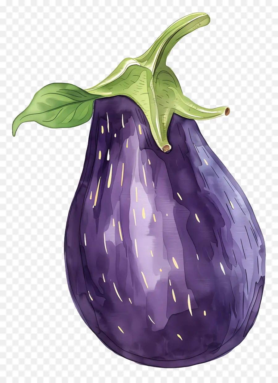Баклажаны，фиолетовый PNG