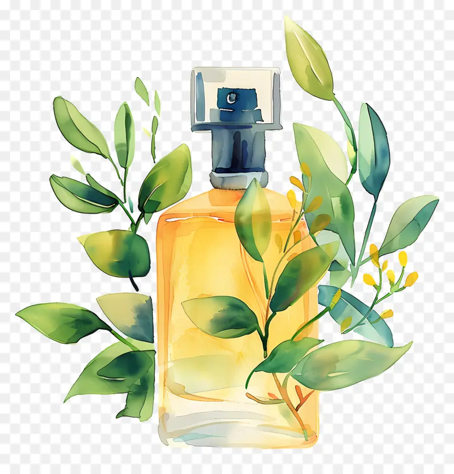духи，Fragrance PNG
