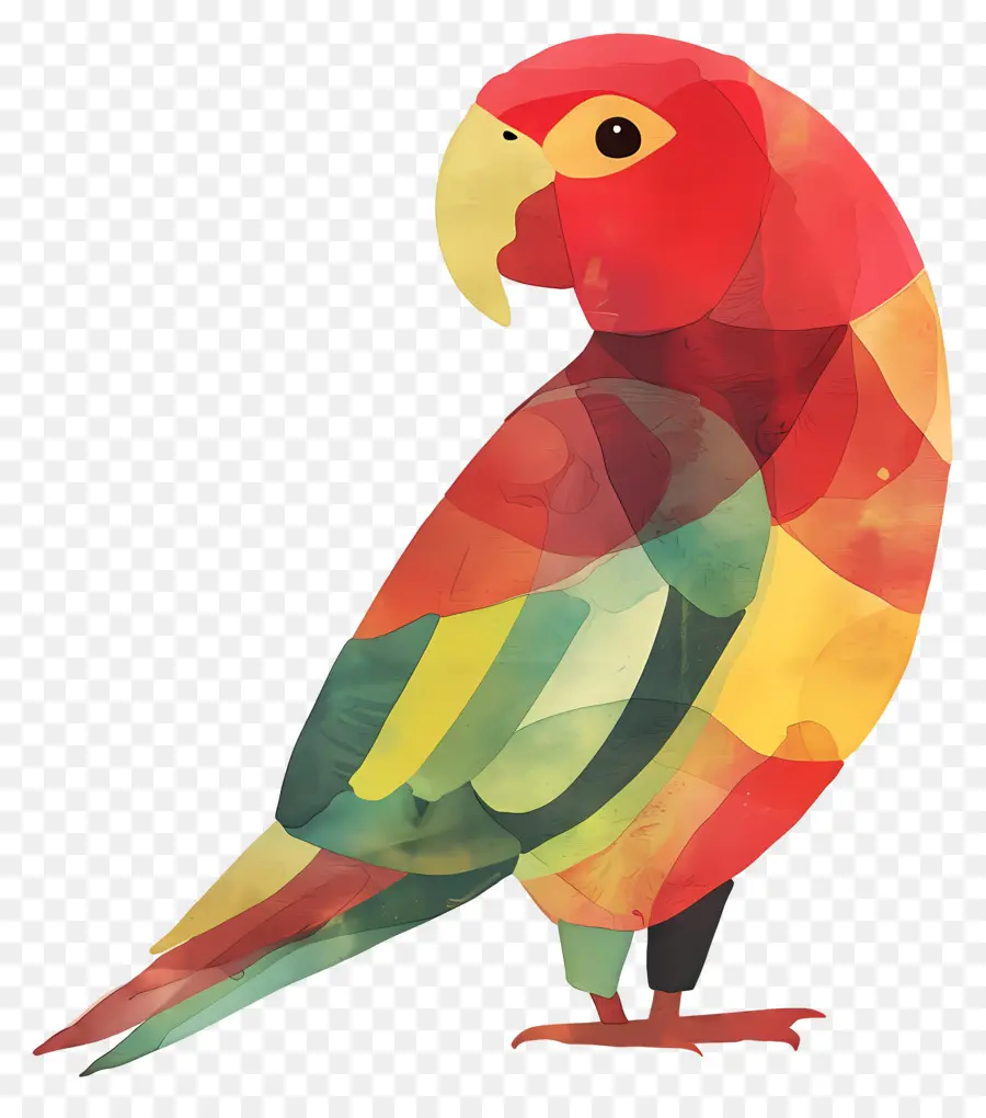 Попугай，акварельная живопись PNG