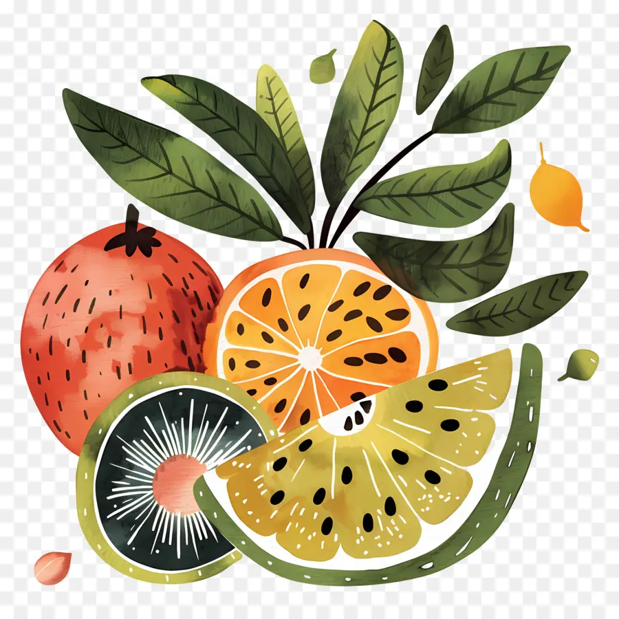 Fruits，оранжевый PNG