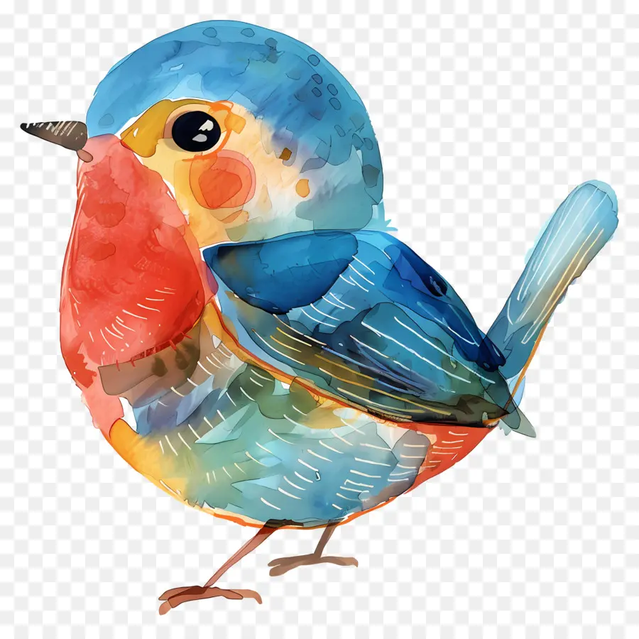 Птица，акварельная живопись PNG