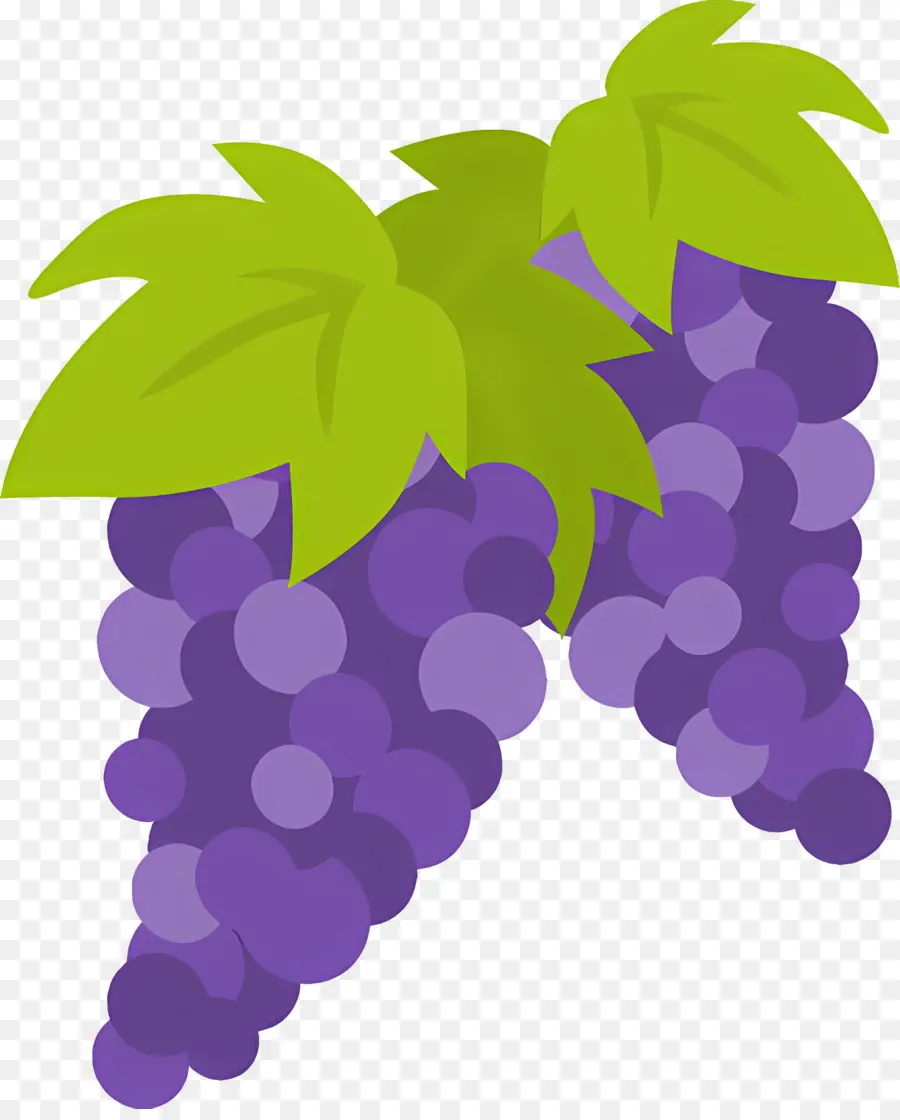 Фрукты，Grapes PNG