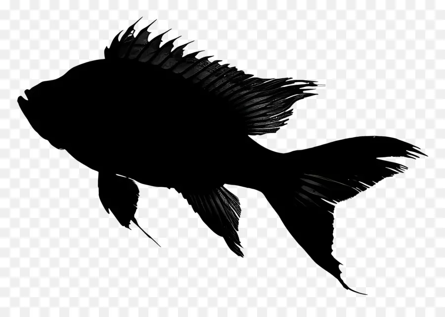 Рыба  силуэт，черно  белая рыба PNG