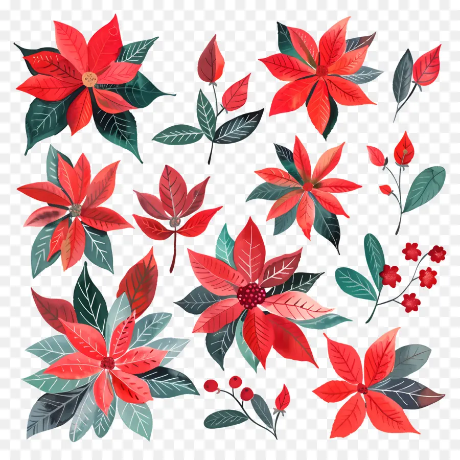 Пуансеттия，рождественские цветы PNG