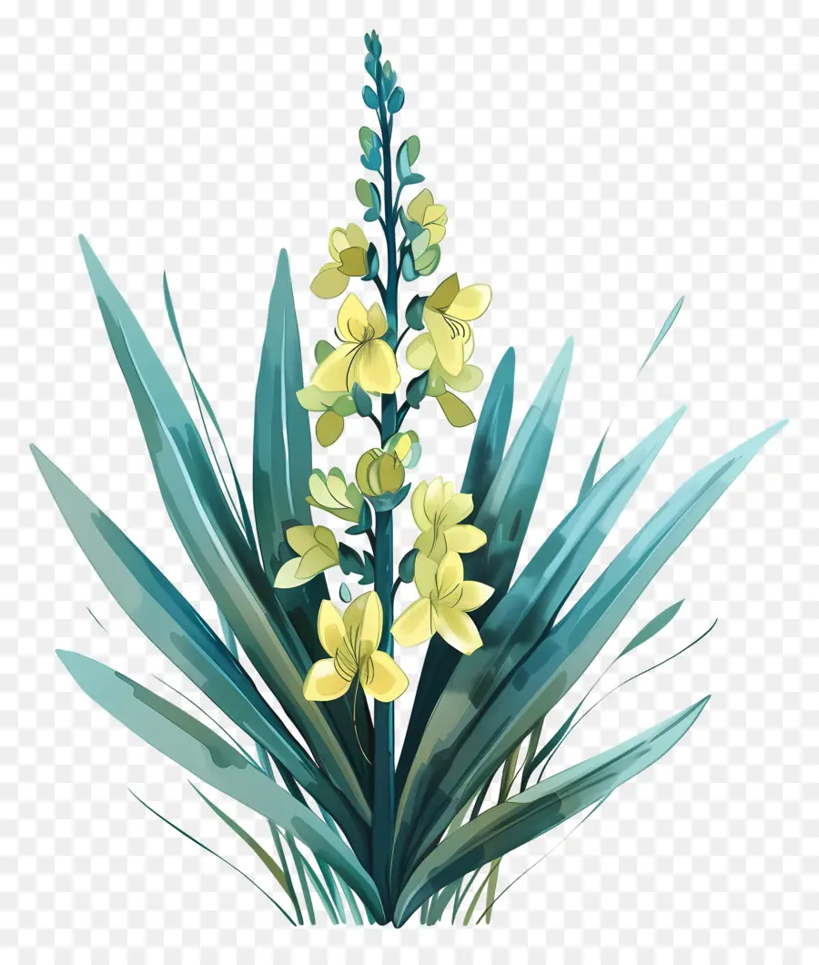 Юкка，желтый цветок PNG
