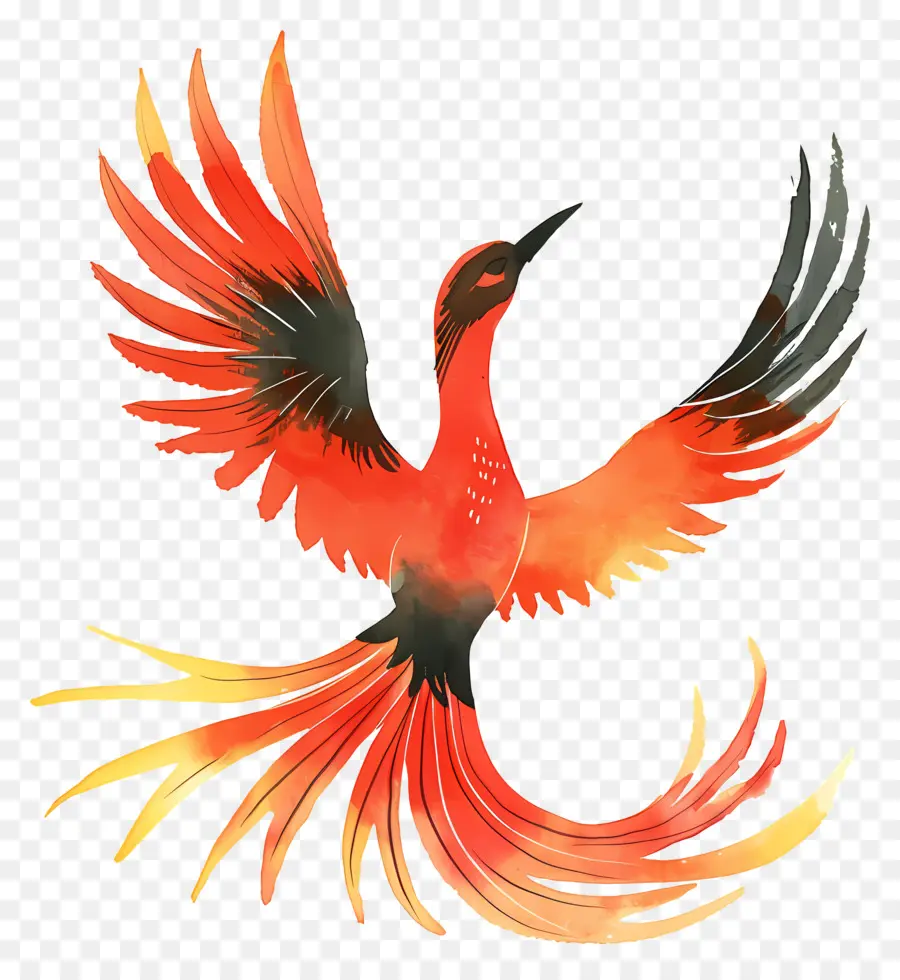 Феникс，красная птица PNG