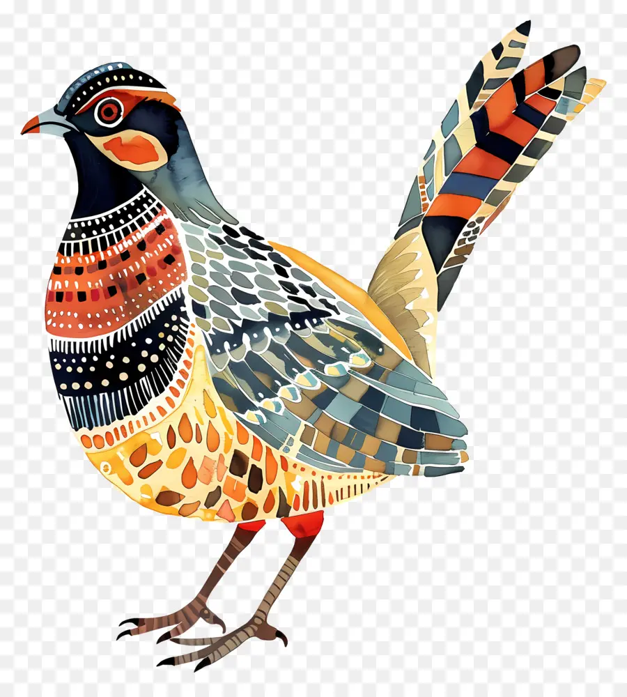 Перепела，красочные птицы PNG