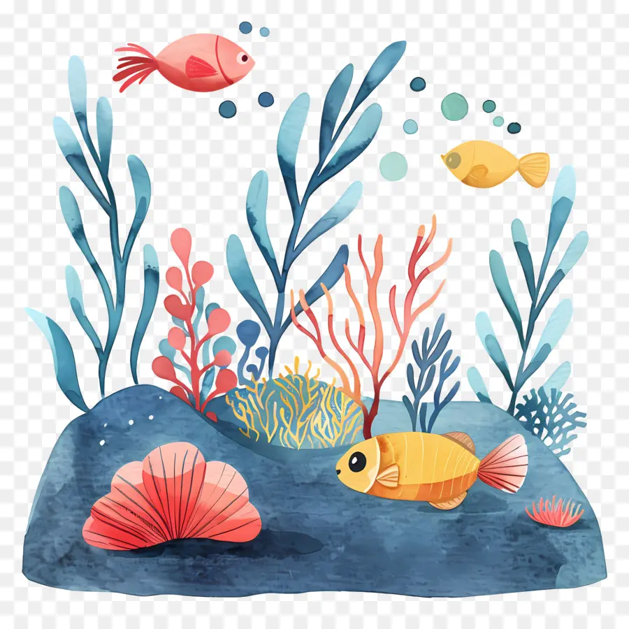 под водой，морские животные PNG