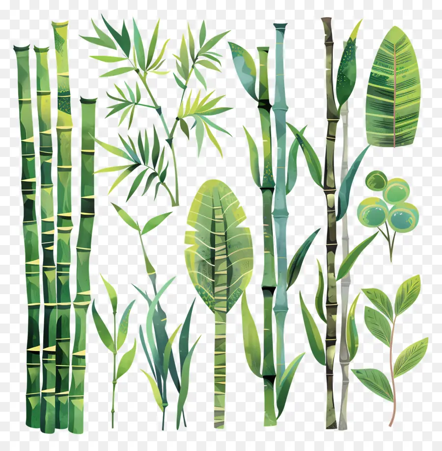 Bamboo，акварельная живопись PNG
