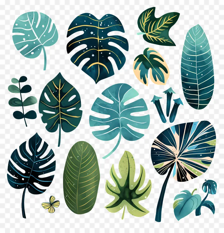 монстера，тропические листья PNG
