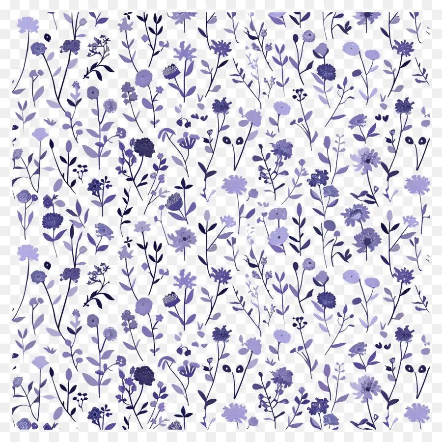 Meadows Pattern，Floral Pattern PNG