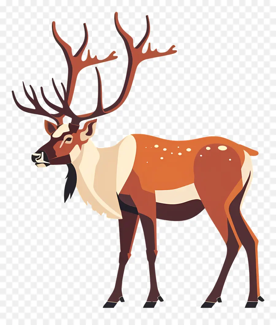 Reindeer，панты PNG