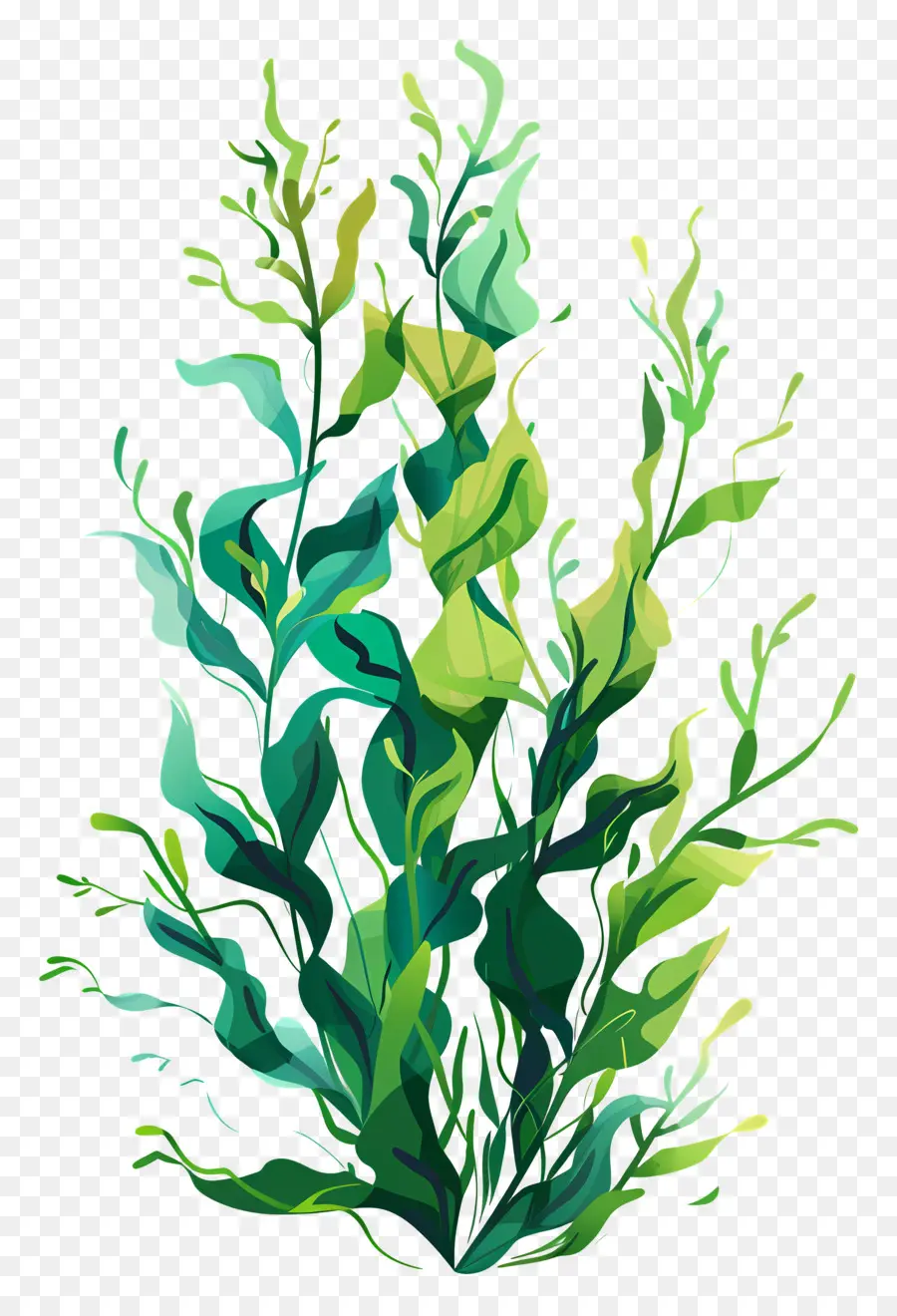 Seaweed，Зеленые морские водоросли PNG