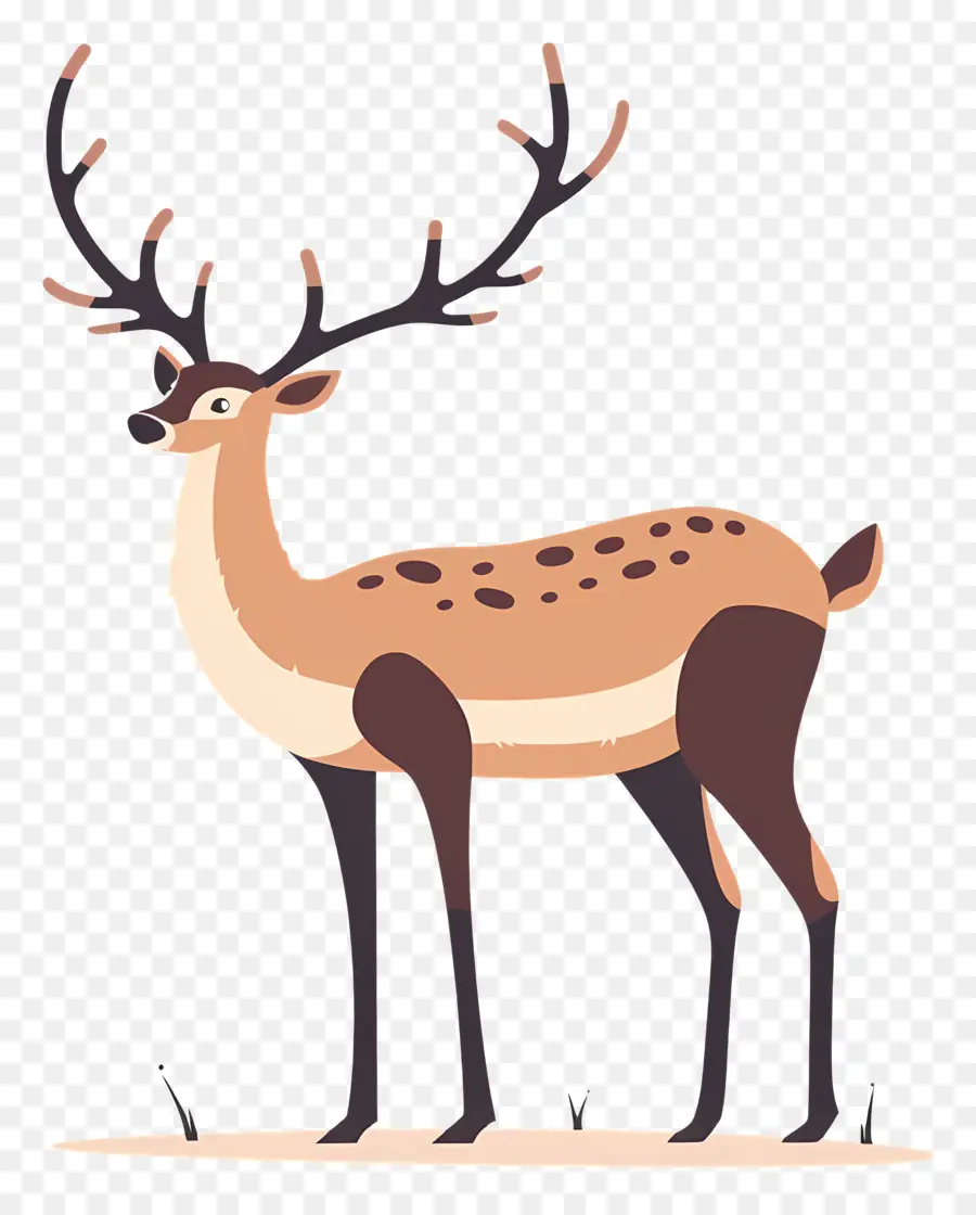 Reindeer，олень PNG