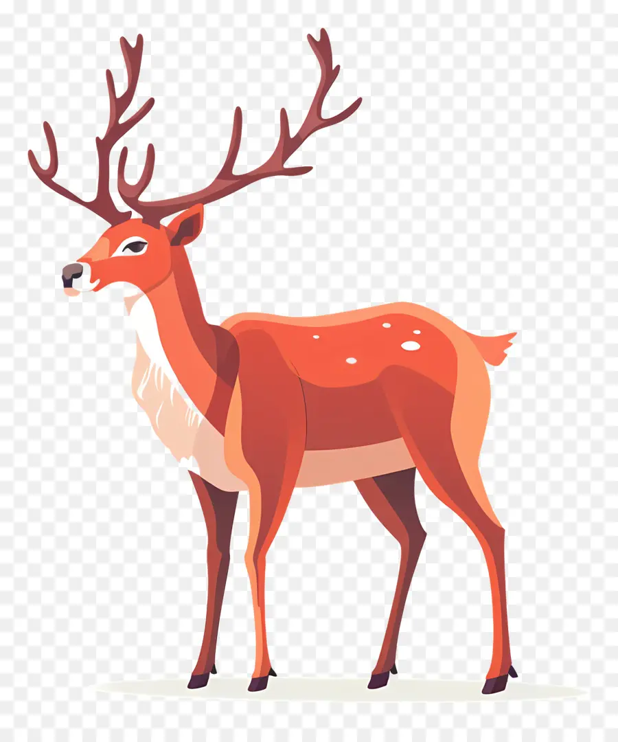 Reindeer，олень PNG