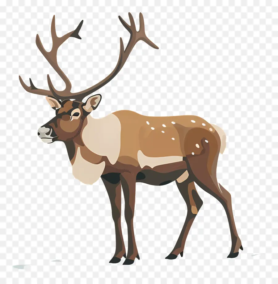 Reindeer，олень PNG