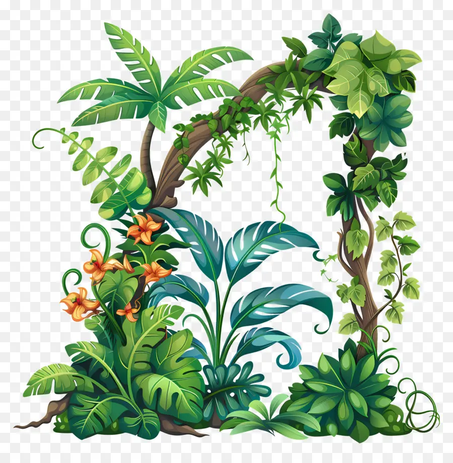 Vines Jungle，джунгли PNG