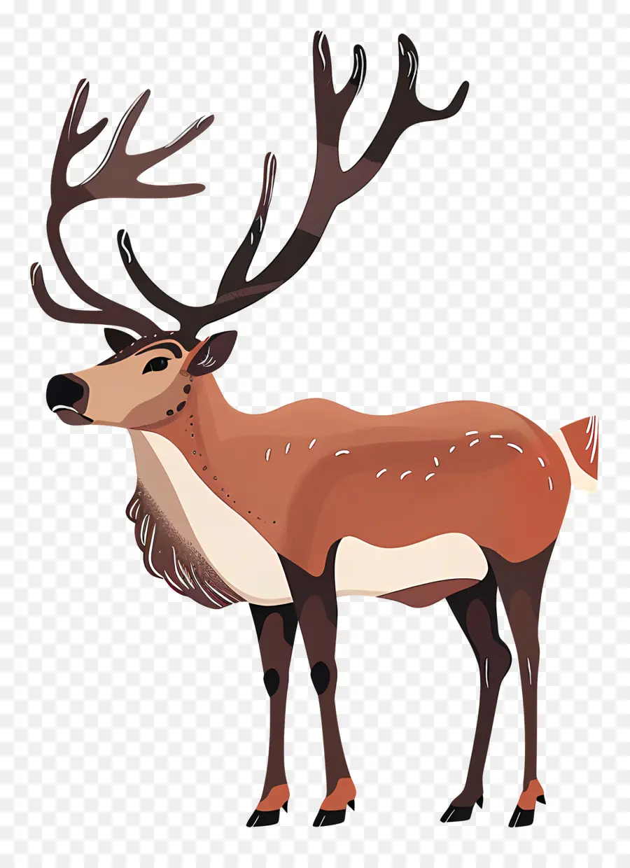 Reindeer，олень PNG